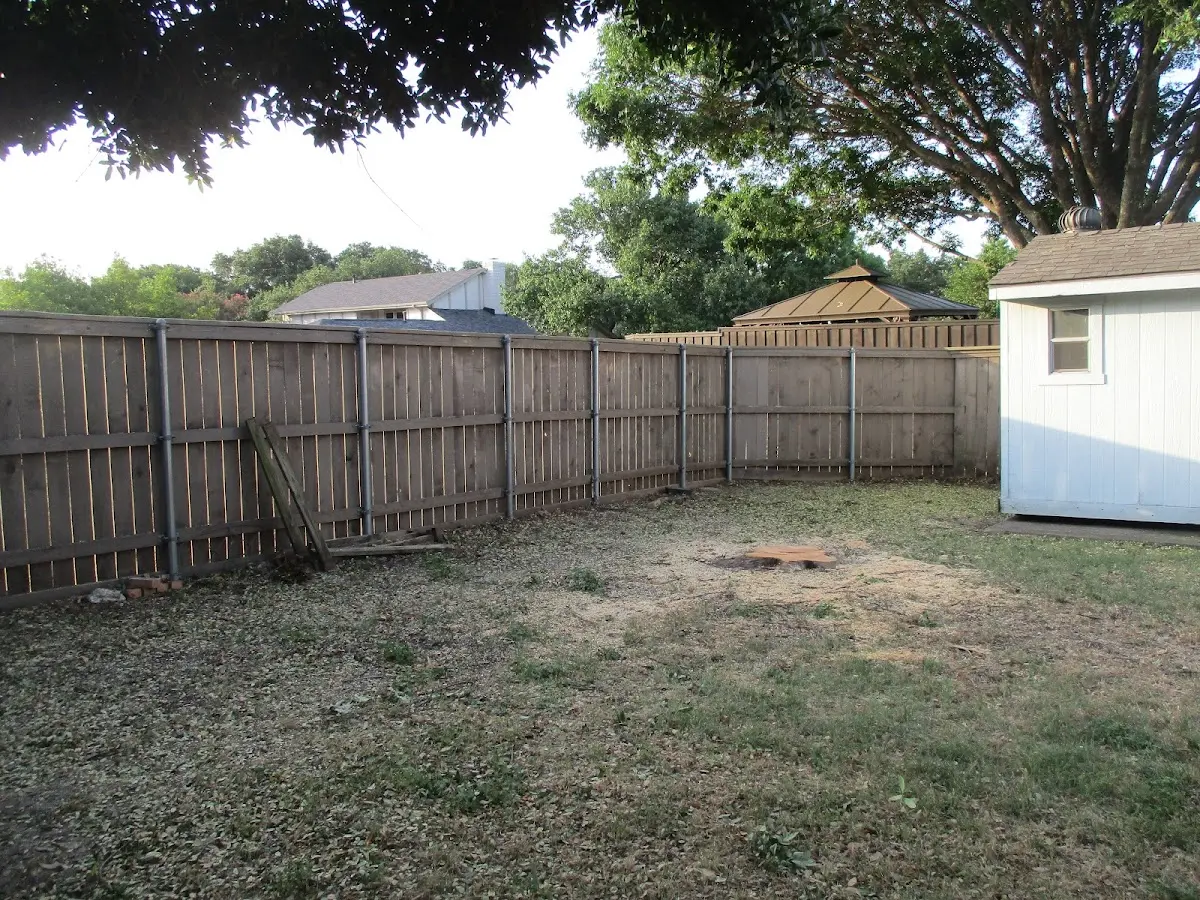 Cleared yard after professional tree removal in Drumore